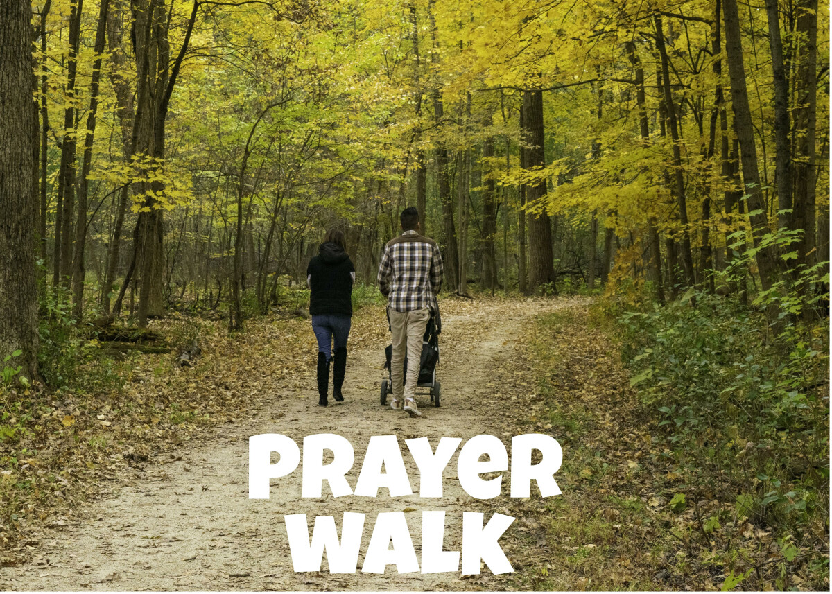 Prayer Walk - Finding God in Creation