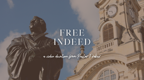 Video Devotion: Free Indeed