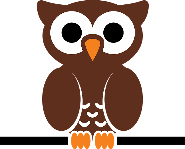 K-1 OWL Program