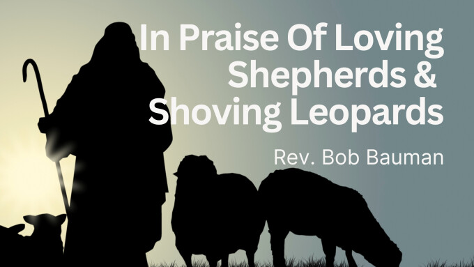In Praise Of Loving Shepherds & Shoving Leopards