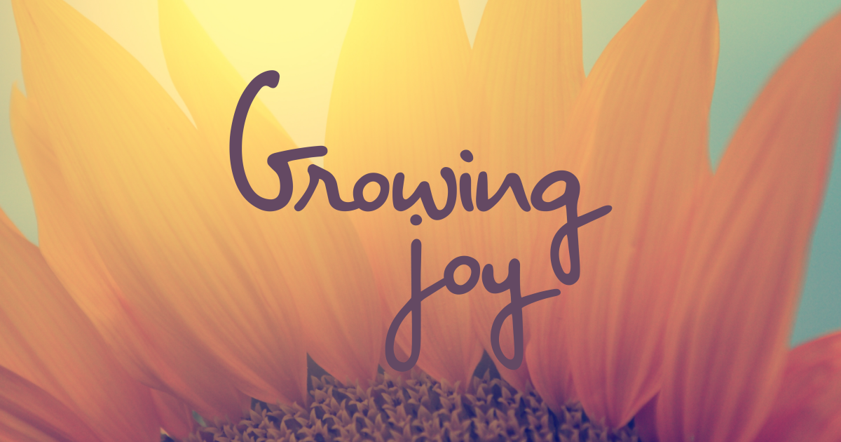 Receiving Joy Sermons Valley Presbyterian Church