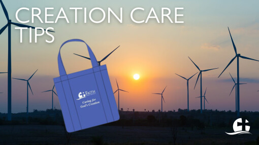Creation Care Tip- January 12, 2022
