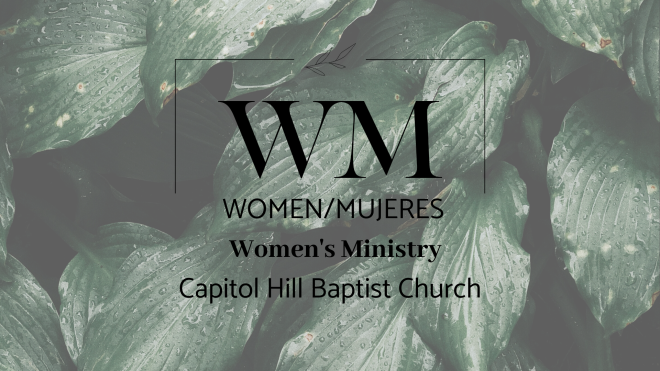 Women's Bible Study, Jude:Contending for the Faith in Today's Culture 