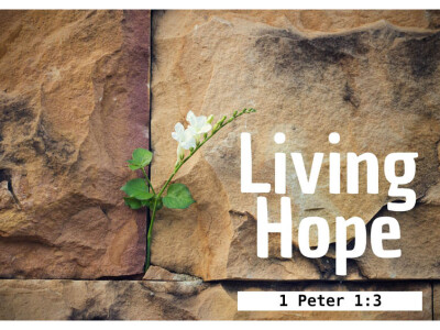 Living Hope