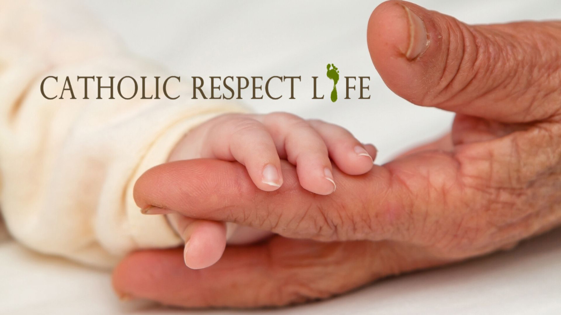 Catholic Respect Life Meeting