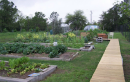 League City Community Garden Calls for Volunteers