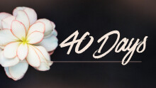 40 Days: Holy Spirit