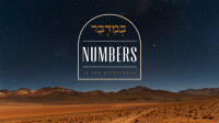 Numbers - In The Wilderness