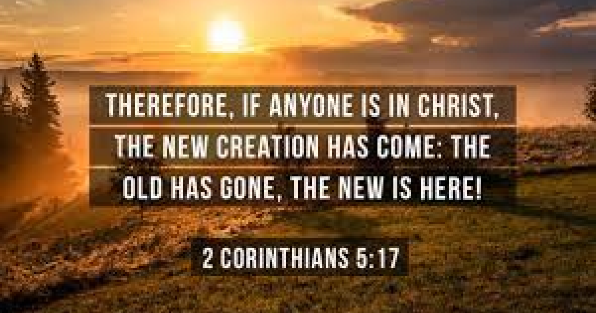 New Beginnings | Daily Devotional | Lincoln Presbyterian Church | Stockton