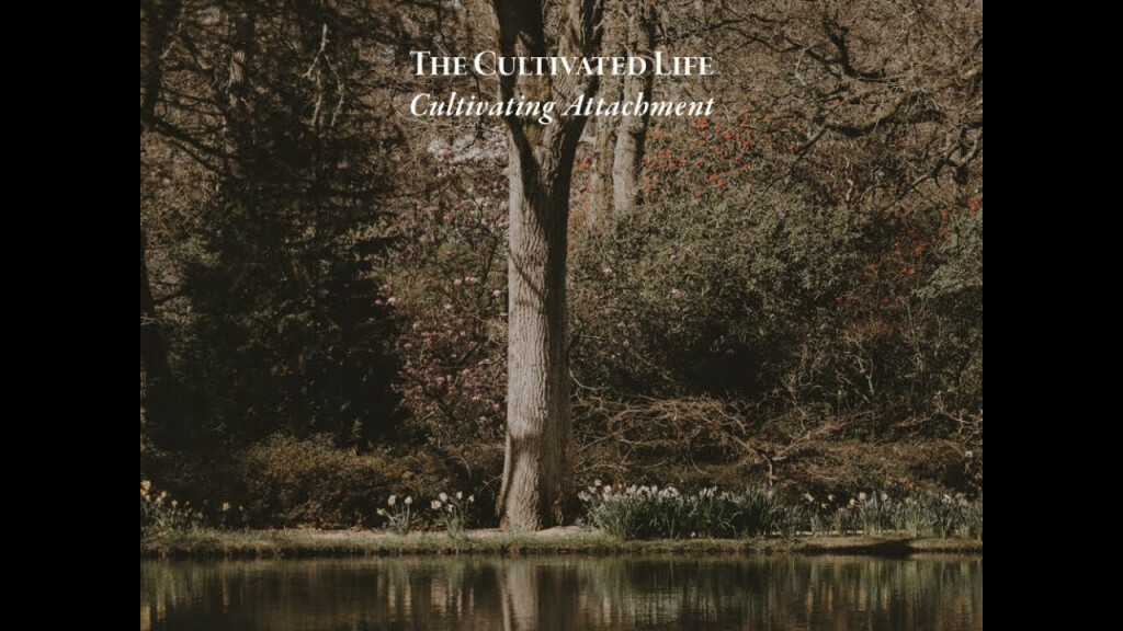 The Cultivated Life | Attachment