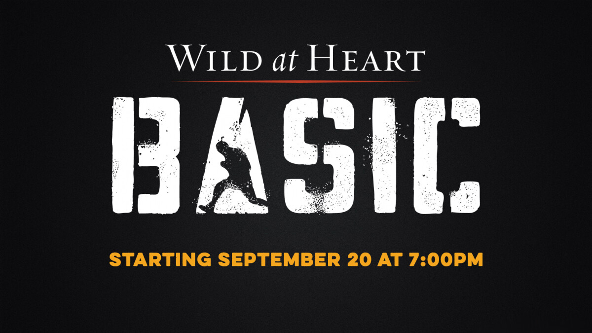 Wild At Heart: Basic