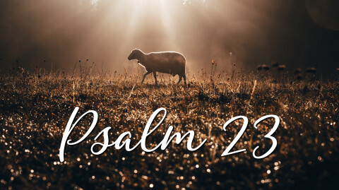 Psalm 23 | The Lord Sustains Me