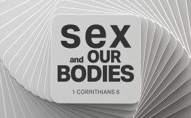 10/27/24 Sermon-based Questions: Imago Dei, Part 4 - Sex and Our Bodies