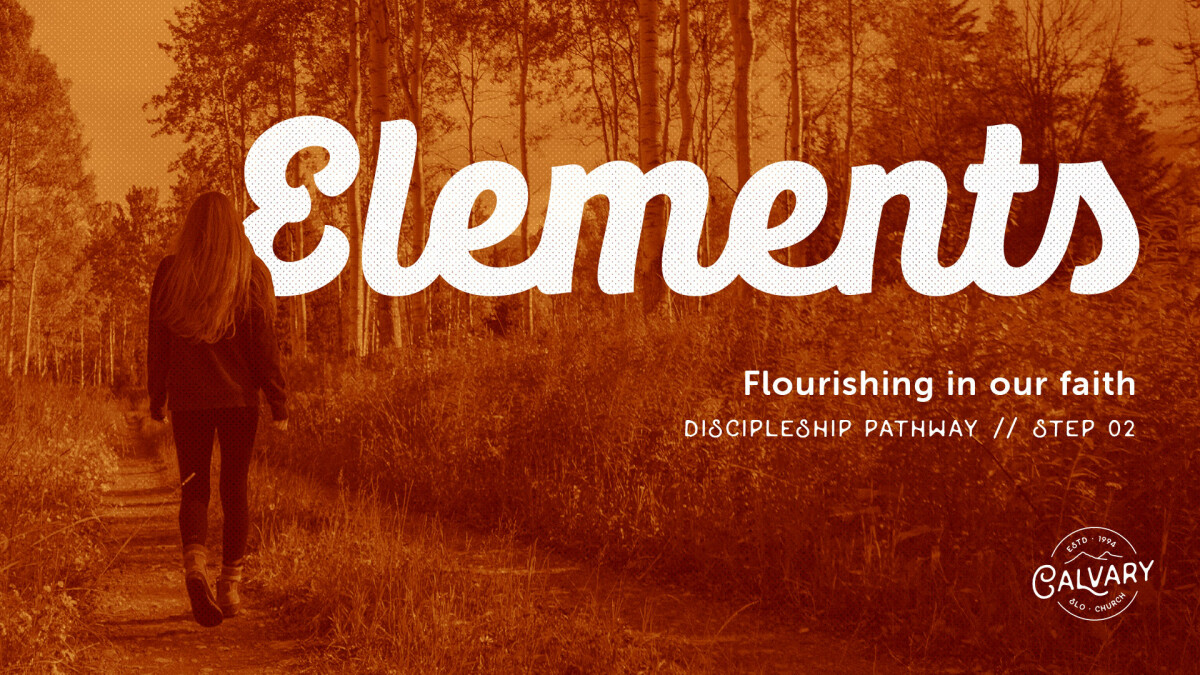 Elements – Discipleship Pathway // Step 02
