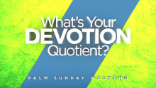 What's Your Devotion Quotient?