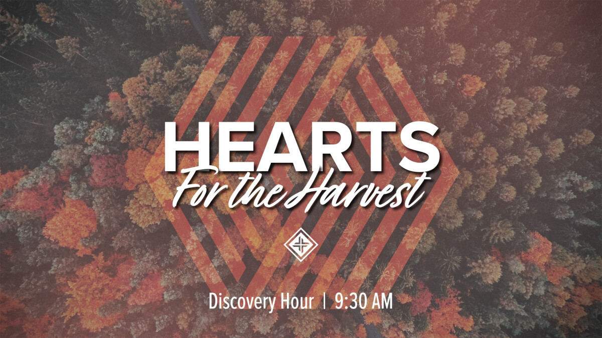 WOC Discovery Hour | Global Partners