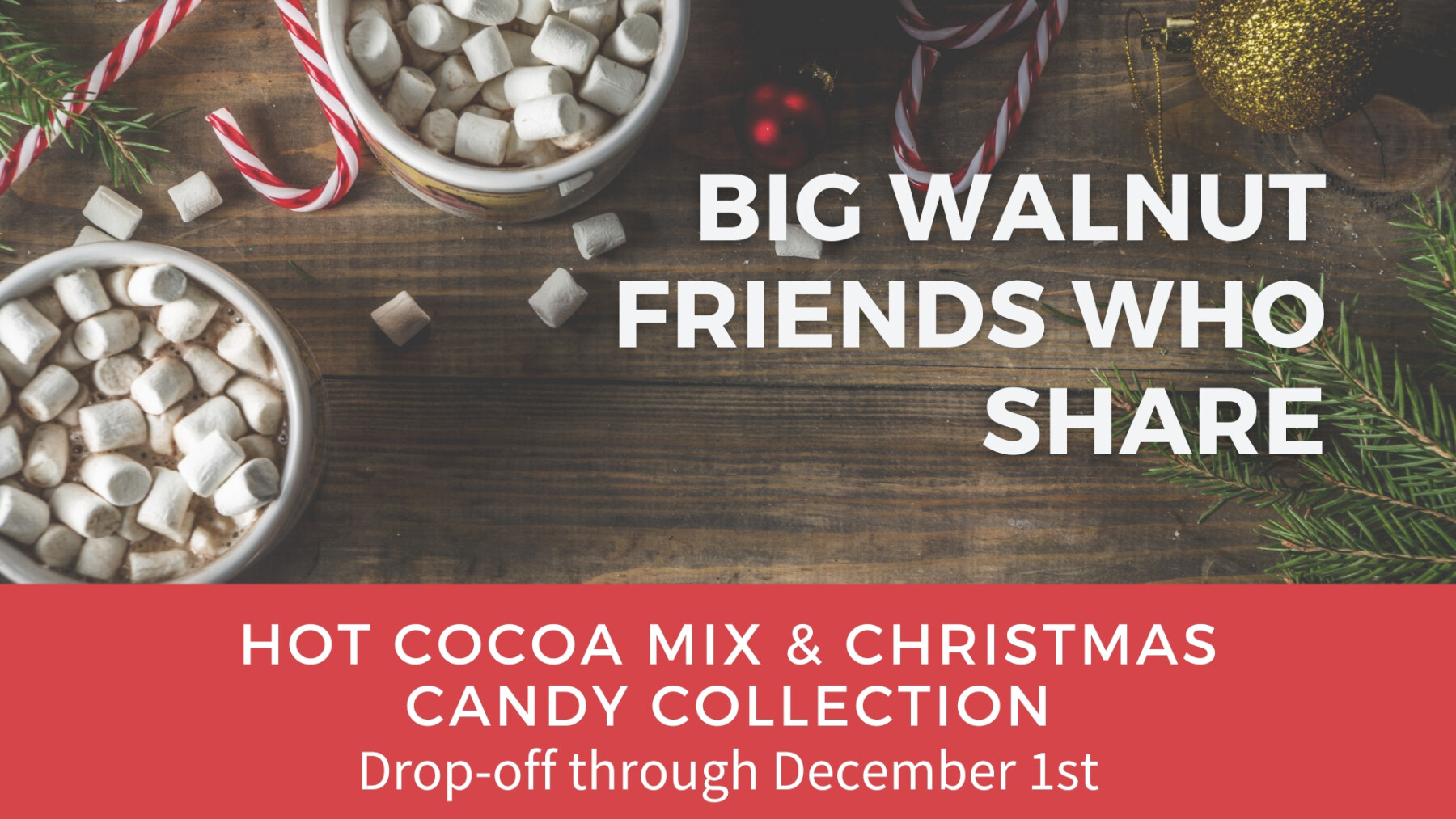 BWFWS Hot Cocoa Mix & Christmas Candy Collection thru December 1st