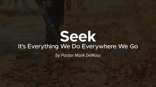 Seek: It’s Everything We Do Everywhere We Go