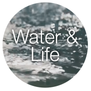 Water & Life