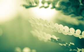 Worship Is An Act of Reversal