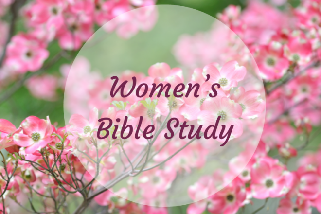Women's Bible Study 