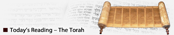This Week's Torah Portion