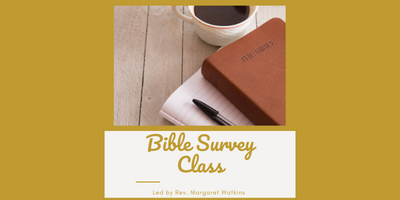 New Testament Bible Survey Class Via Zoom