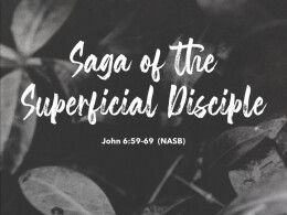 Saga of the Superficial Disciple