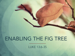 Enabling the Fig Tree