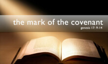 The Mark of the Covenantt