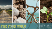 The Four Soils
