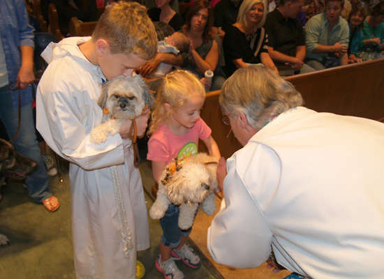 St. Andrews Pet Blessing 1