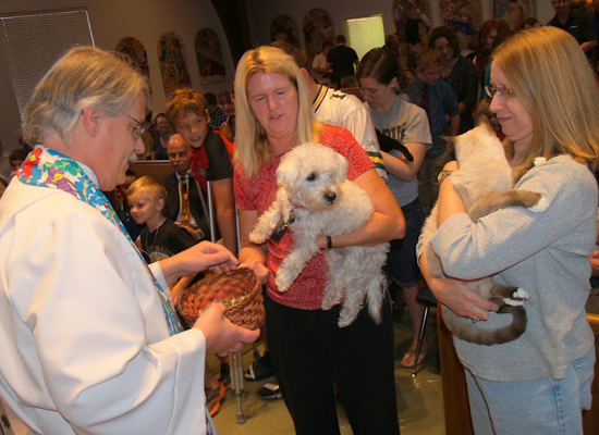 St. Andrews Pet Blessing 5