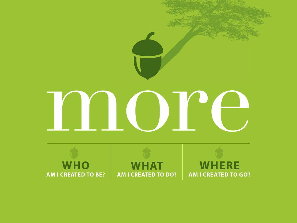 New Message Series: More