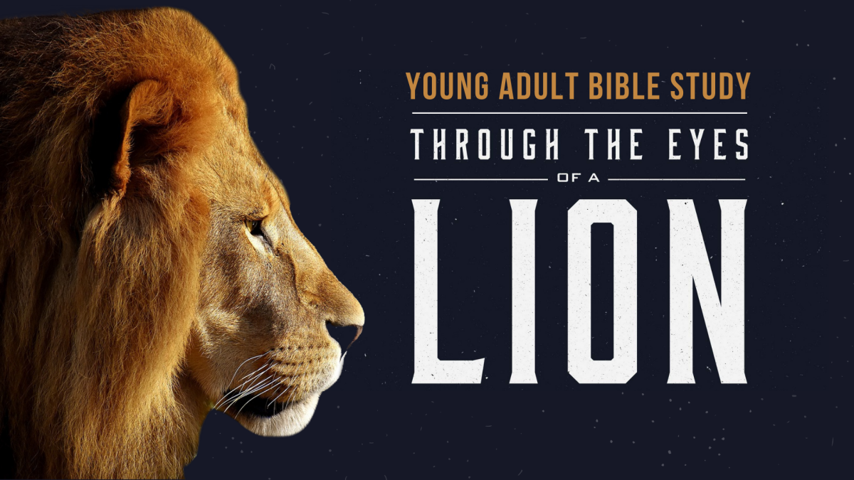 Young Adult Bible Study - Through the Eyes of a Lion