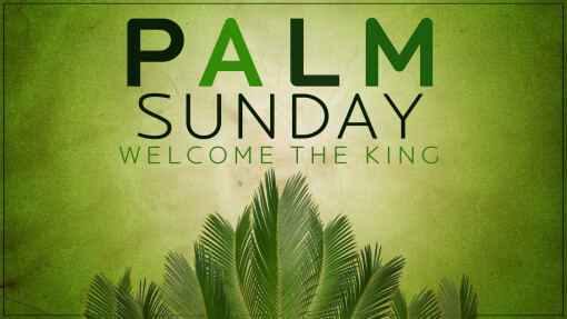 Palm Sunday!