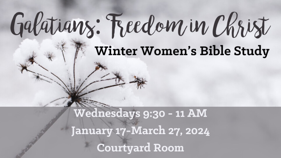 Adults Ministry Lake Grove Presbyterian   Winter 2024 Womens Bible Study Wednesdays 1024 X 