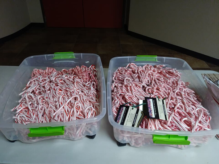 1300 Candy Canes 1300 Candy Canes
