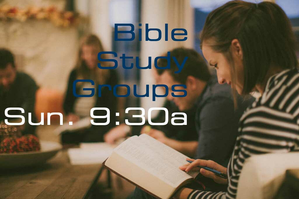 Adult Small Groups