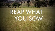 Sowing and Reaping: What you put in is what you get out
