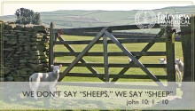 We Don't Say "Sheeps", We Say "Sheep"