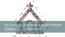 The Church as Living Stones & Royal Priesthood