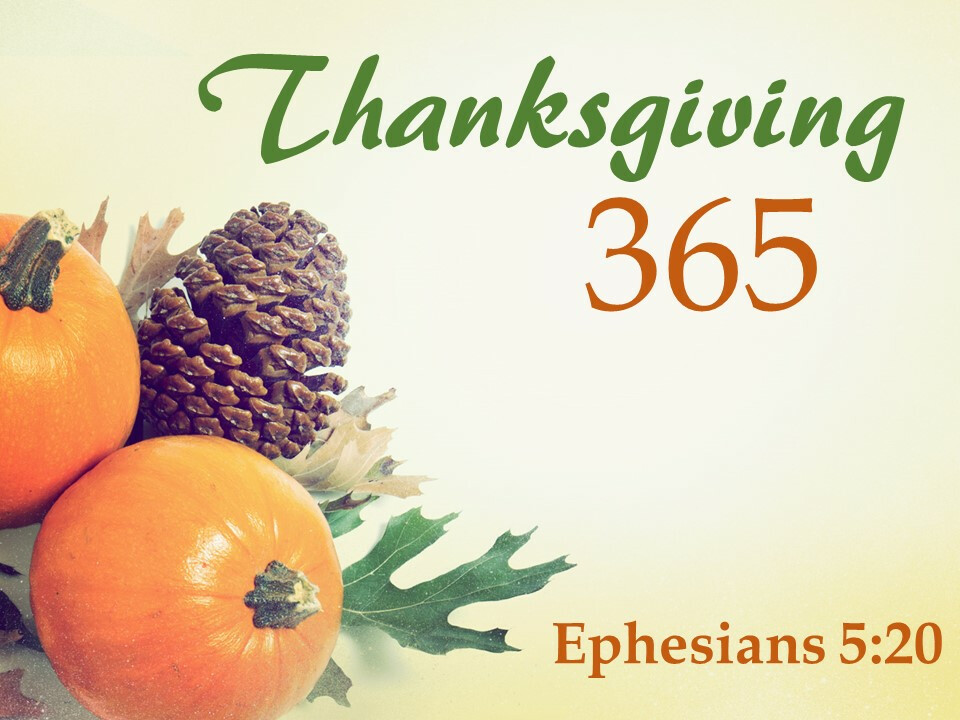 Thanksgiving 365