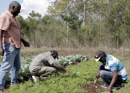 Colegio episcopal de Haití prepara a los estudiantes empresas agrícolas