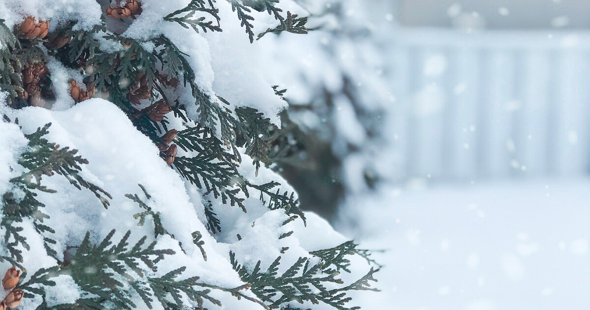 Advent Example East Hill Church