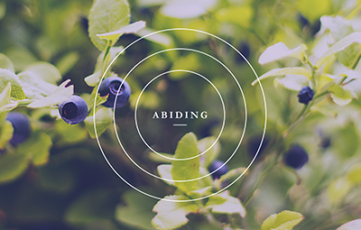 Abide To Be Joyful