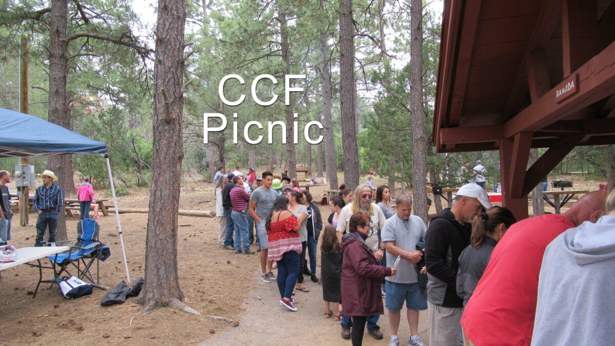 CCF Picnic