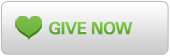 Give Now button