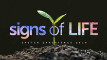 Signs of Life - Easter Sunday