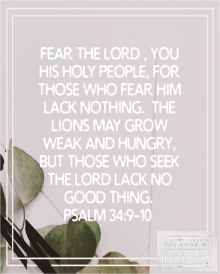 Psalms Study Week 26
